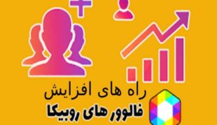 افزایش فالوور روبینو